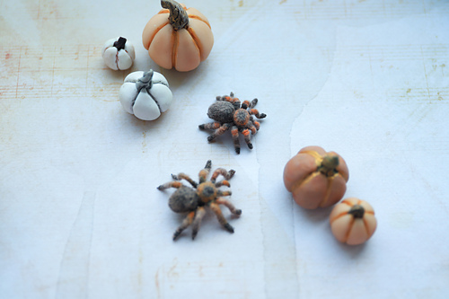 Miniatyr Tarantula - Anastasia Sarkisian