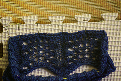 Fanning For Warmth photo 10