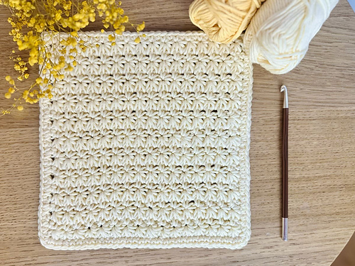Star Stitch Washcloth photo 6