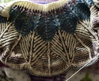 nemotinek's 201 29 Egyptian Feathers Jacket Ravelry nemotinek's 201 29 Egyptian Feathers Jacket Ravelry