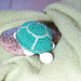 green turtle photo 3
