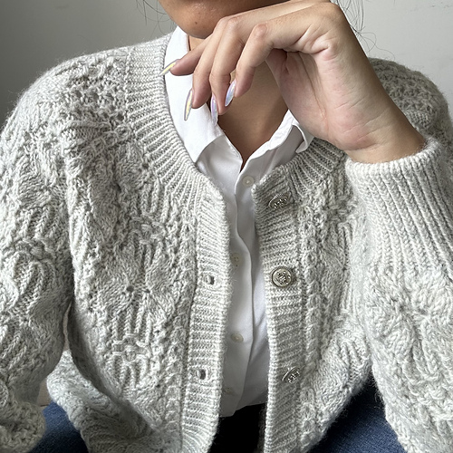 Ravelry: SPRING raglan cardigan pattern by Ngo Quynh