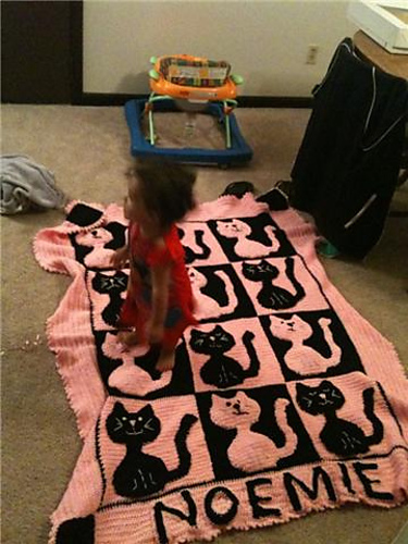 Cat and Mouse afghan and pillow photo 2