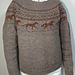 Horse Sweater Galop pattern 