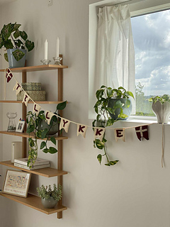 Tillykke = Danish word for Congratulations