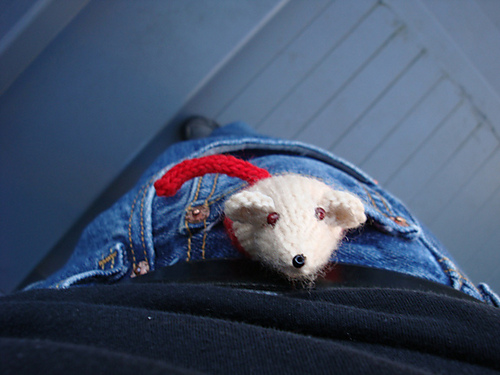 A Little Friend photo 4