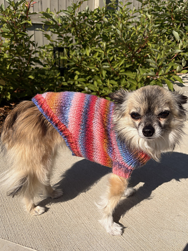 Sophie Sweater