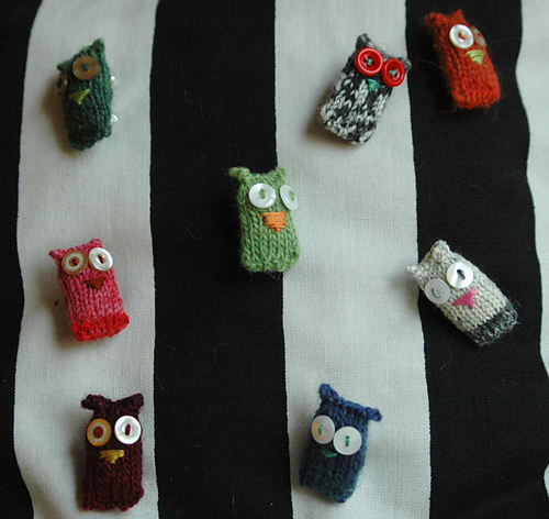 Owls! photo 2