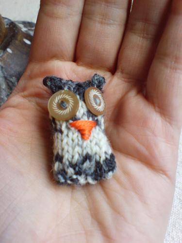 Owls! photo 1