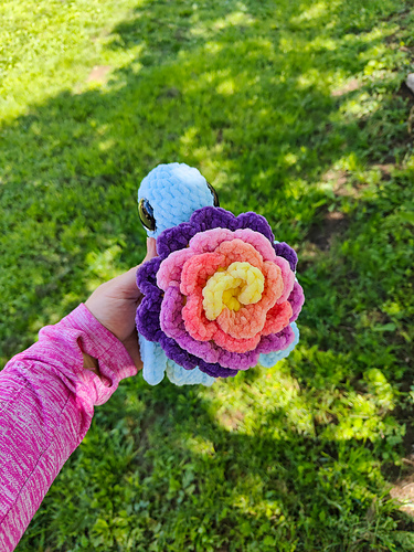 Rainbow Flower Turtle photo 4