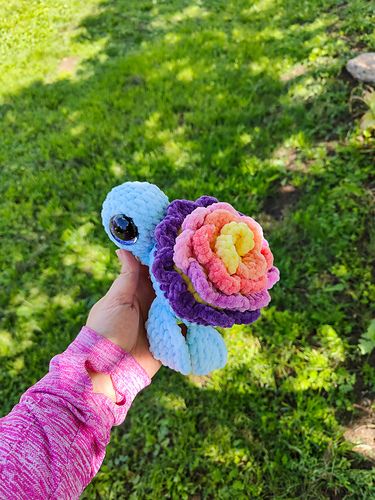 Rainbow Flower Turtle photo 5