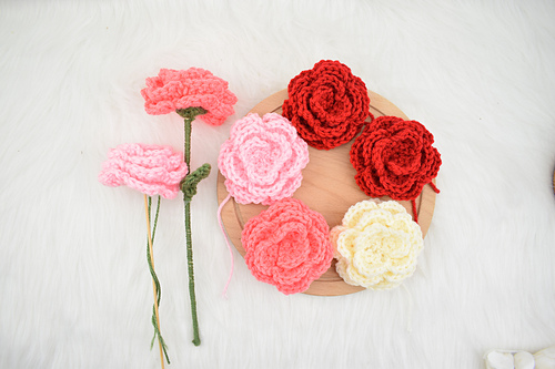 Camellia flower photo 3