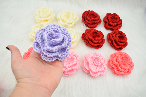 Camellia flower photo 5