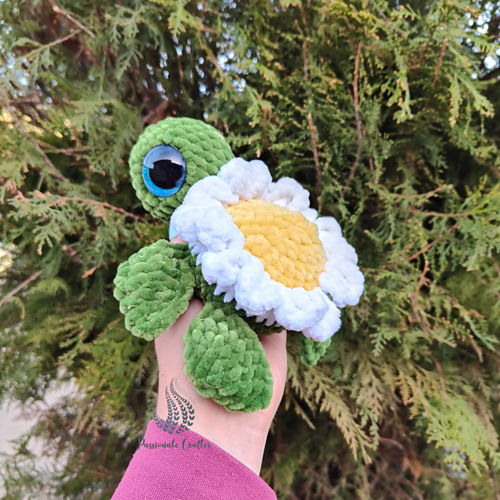 Rose Turtle photo 11