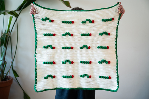 Caterpillar Baby Blanket