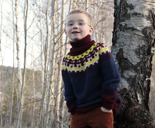 Knight's sweater / Rundfelt riddergenser - Pickles