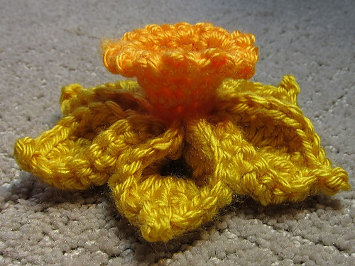 One-Piece Daffodil photo 3