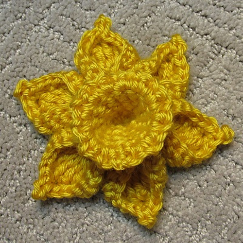 One-Piece Daffodil photo 4