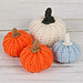 Pumpkin photo 3