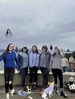 Some of my wonderful test knitters added themselves to a group photo and I had to share! Thank you as always to my wonderful testers, this was such a fun group ﹤3