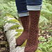 Deep Forest Socks pattern 