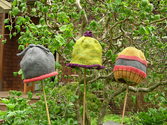 DSCN1736_2