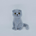 Scottish Fold Cat pattern 