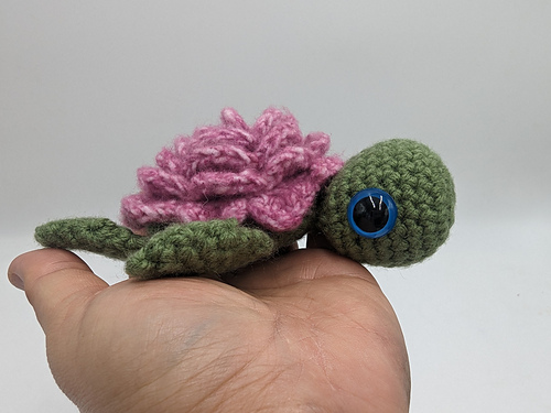 Rose Turtle photo 10