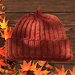 Pippa Beanie with Braided Crown pattern