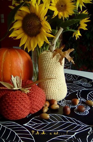 une doubeurre ou butternut photo 1