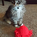 Squibble Cat Toy pattern