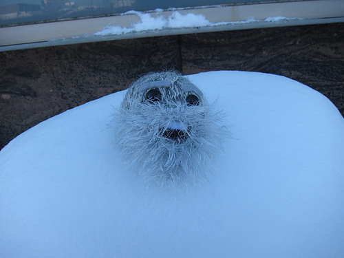 Mr. Abominable the Snow Puff photo 4