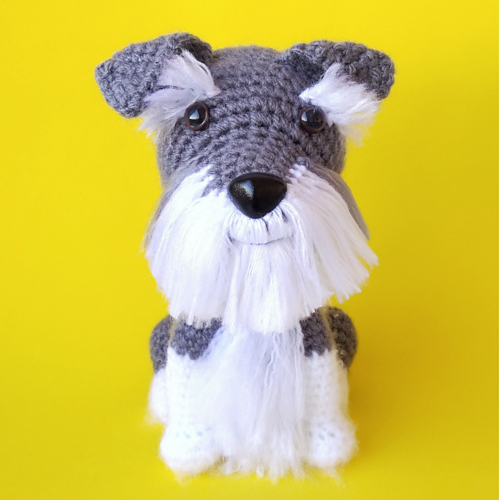 Schnauzerhund - Raquel Medeiros