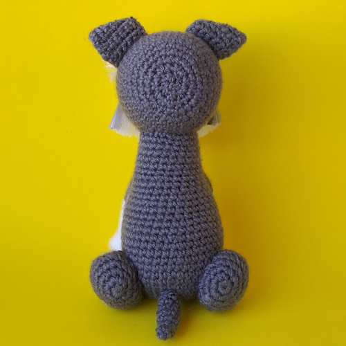 Schnauzerhund - Raquel Medeiros