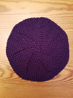 Round Dishcloth#2 with  7 panels