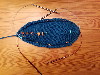 Two circular needles were used to pick up and knit the side sts.