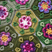 Pied Beauty Hexagon photo 3