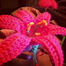 Easter Lily (November Lily) photo 3
