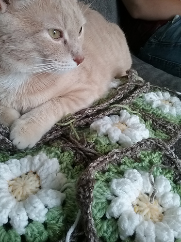 Daisy Granny Square photo 5