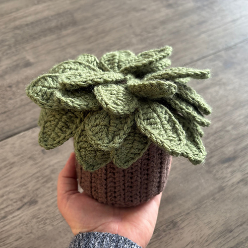 Succulent Scarf