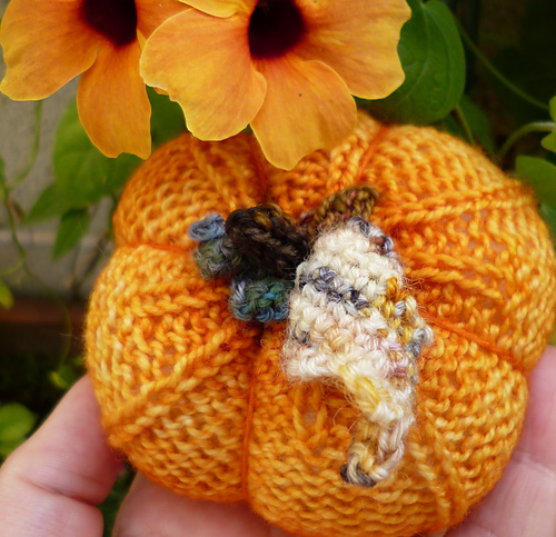 Potiron, pumpkin o calabacita photo 1