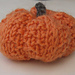 Potiron, pumpkin o calabacita photo 3