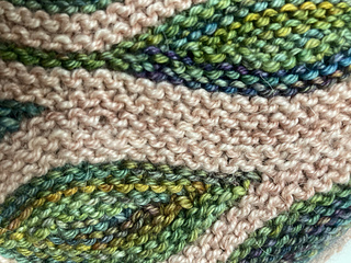 Close-up of graft
