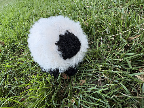 Baab the Sheep