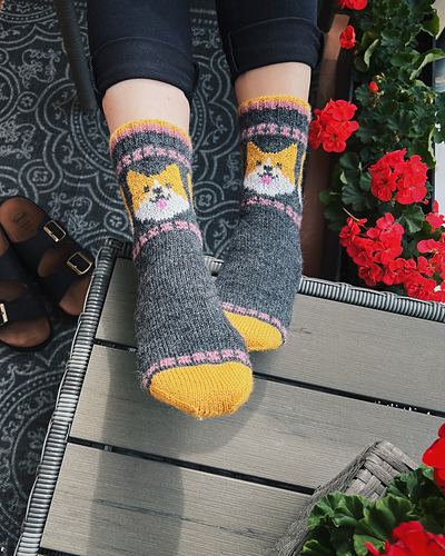 Corgi  Socks for adults