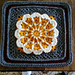Pane in my Dahlia photo 4