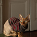 Moussaillon Sweater pattern