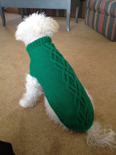 The Prep Dog Sweater photo 2