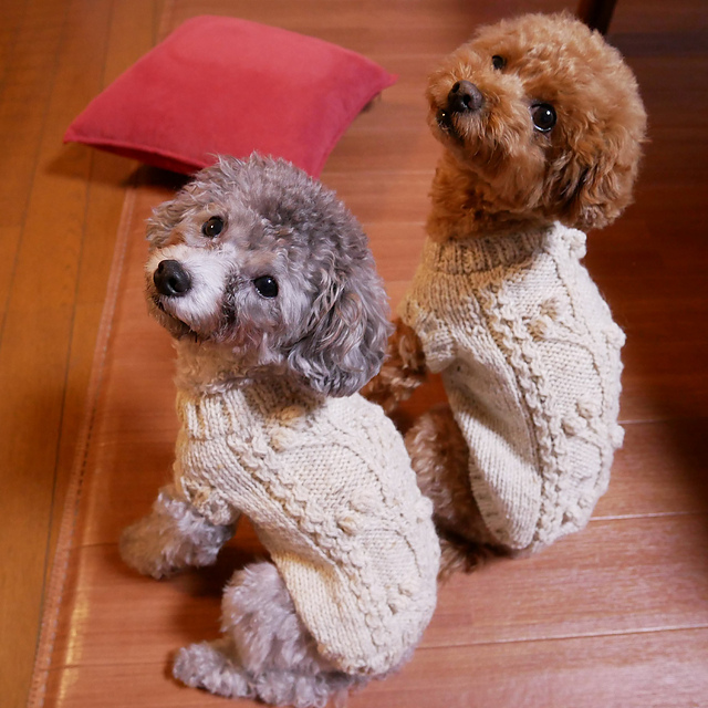 Ravelry Sapo's Aran Dog Sweater pattern by Sayoko Shigeno