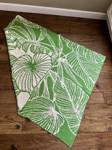houseplant blanket photo 3